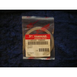 Yanmar gasket 119593-18800